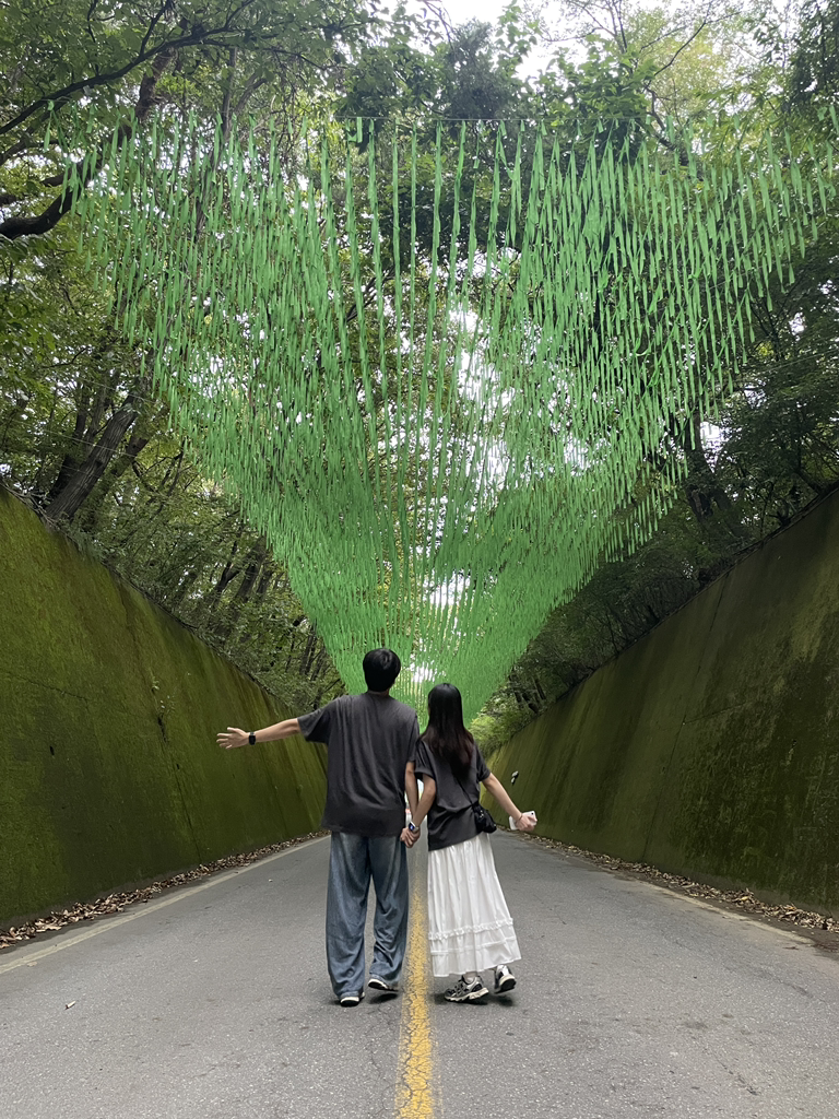 이끼터널 이미지