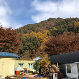 단양홍가네펜션 이미지