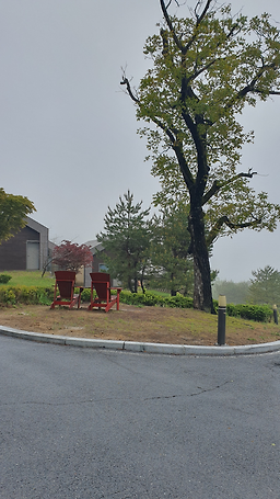 소백산자연휴양림 이미지