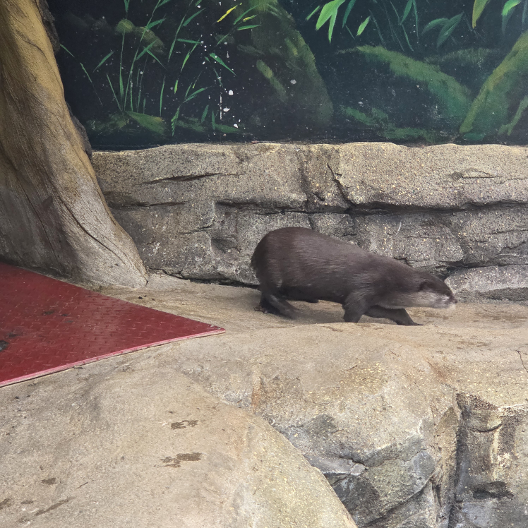 다누리아쿠아리움 이미지