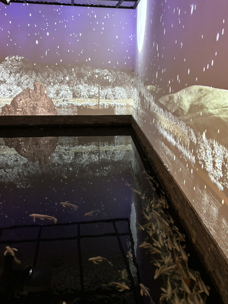 다누리아쿠아리움 이미지