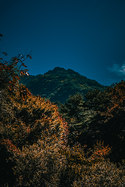 소백산국립공원 이미지