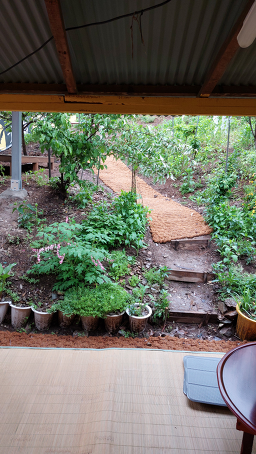 동굴카페 이미지