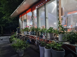 옛날촌집 이미지