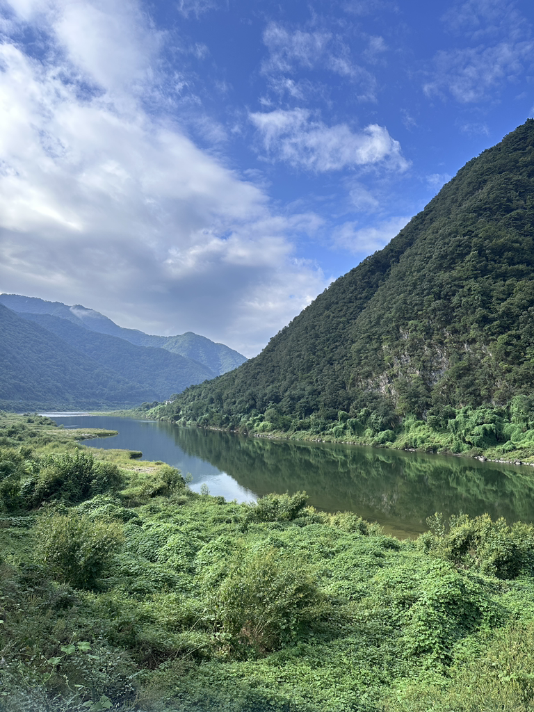 향산미락 이미지