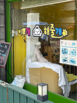 이뿌개해줄개