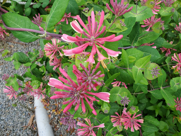 자드락펜션 이미지