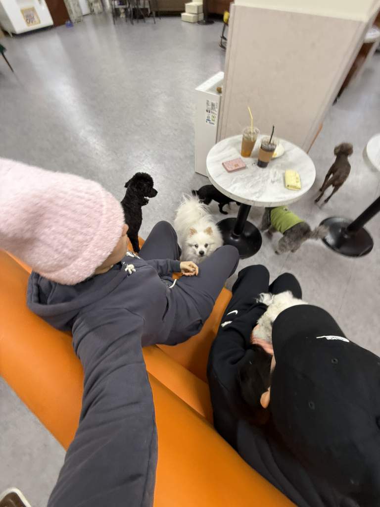 개랑놀아주는남자