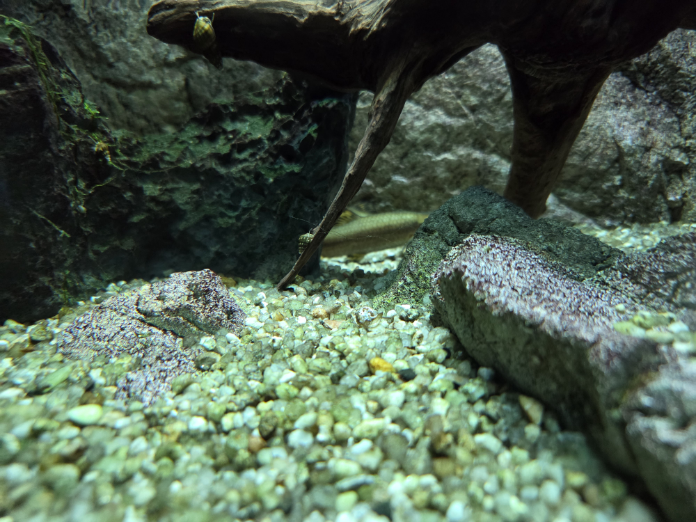 다누리아쿠아리움 이미지