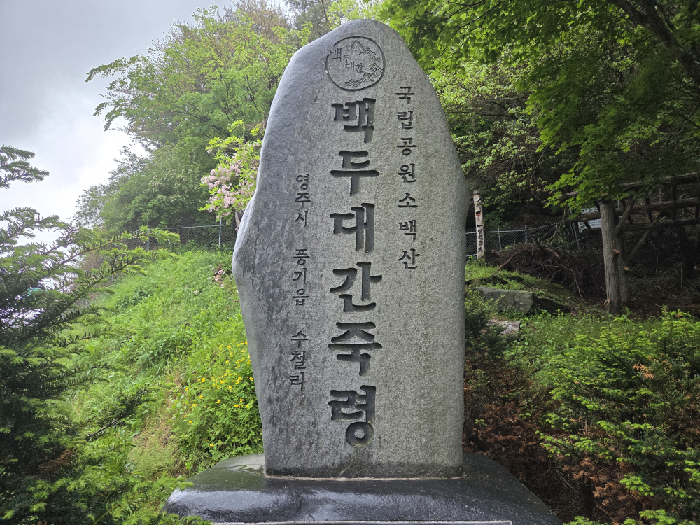 죽령 이미지
