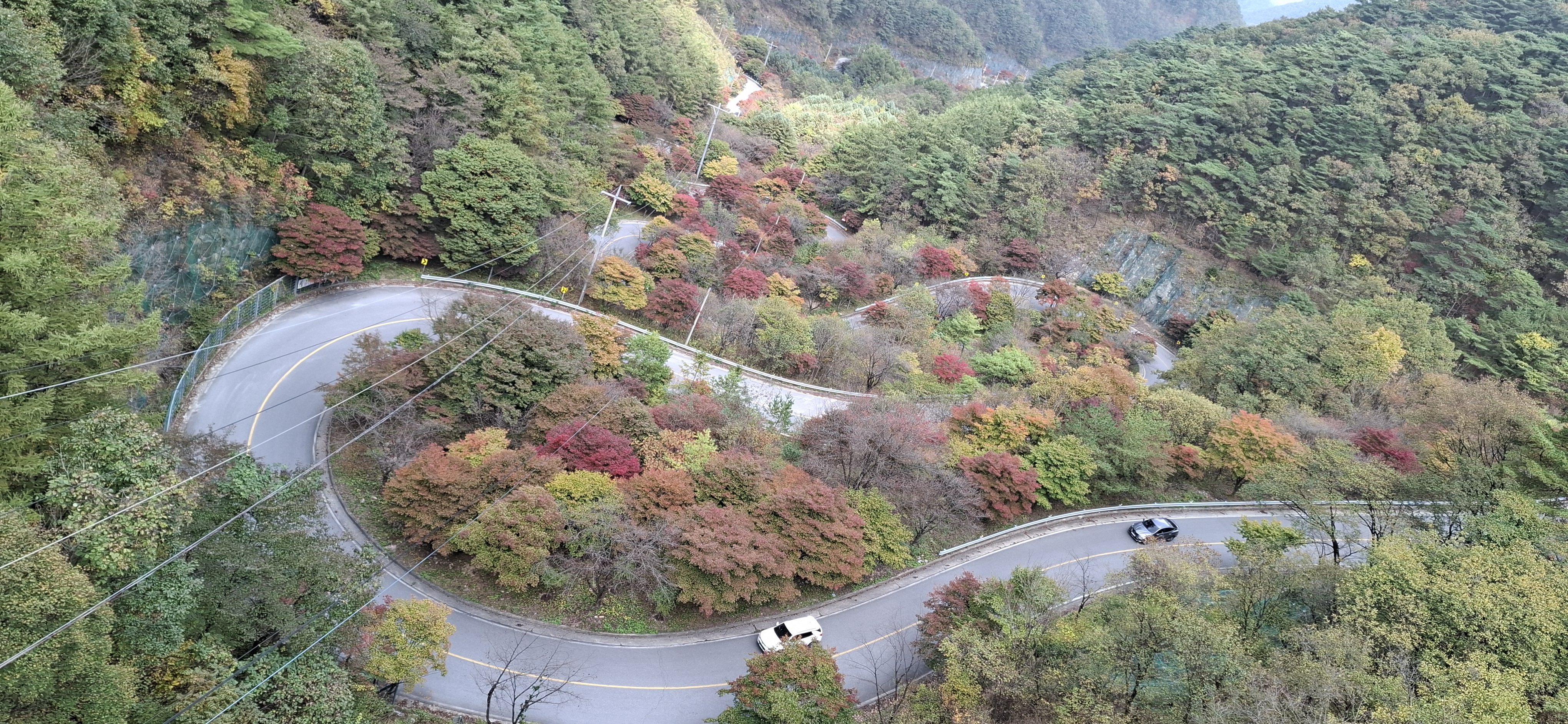 보발재드라이브