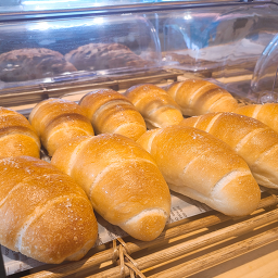 하이단양 하이디 이미지