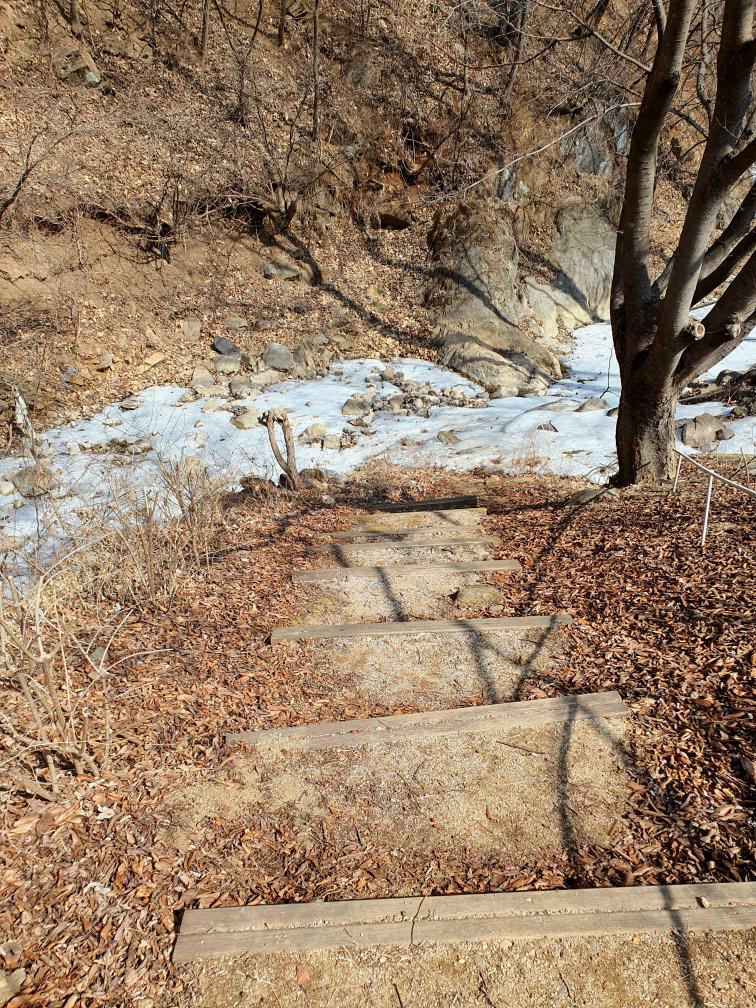 오그란이단팥빵 이미지