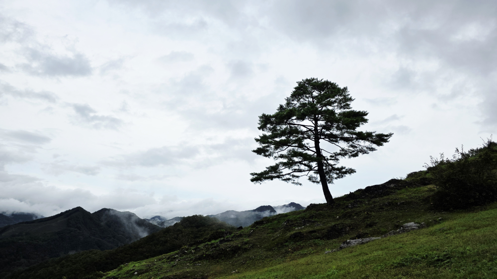 온달산성 이미지