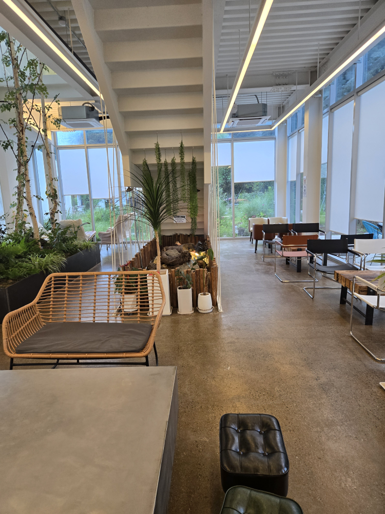 카페오무아무아 이미지