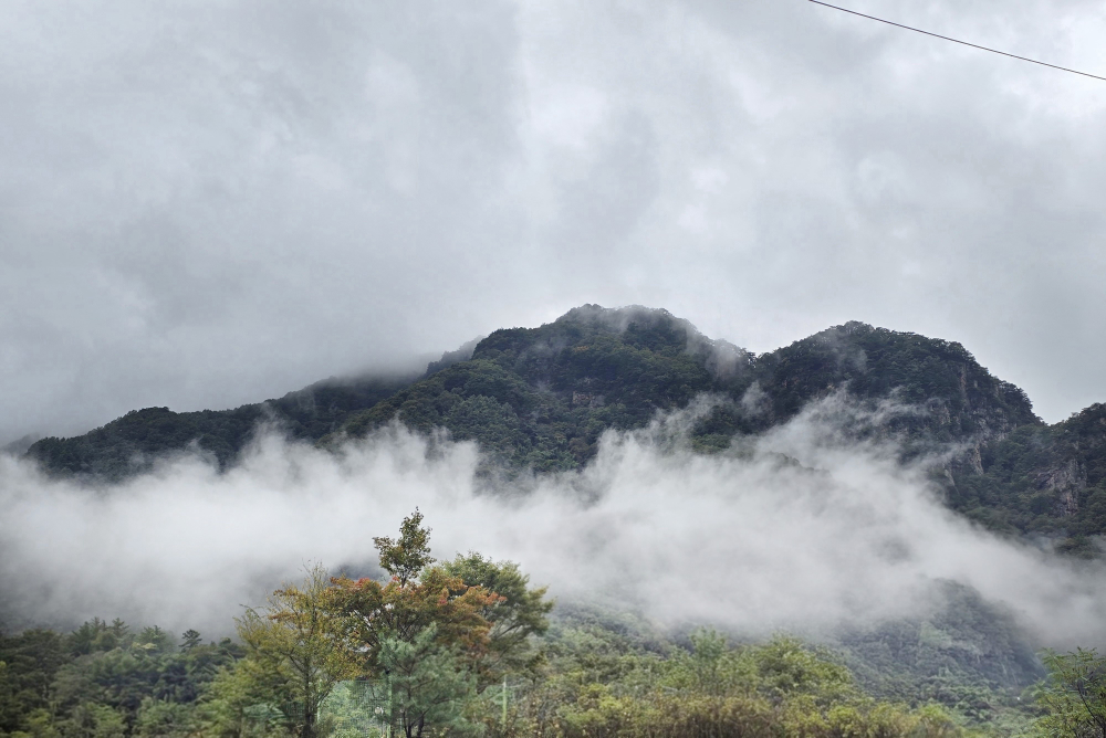 장회나루휴게소 이미지