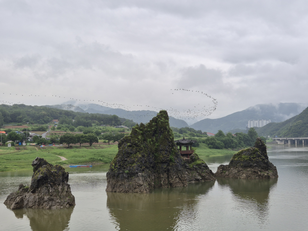 도담삼봉가마솥손두부 이미지
