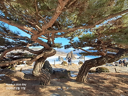 도담삼봉 이미지