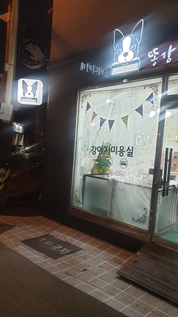 똥강쥐