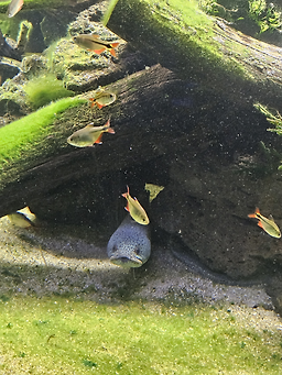 다누리아쿠아리움 이미지