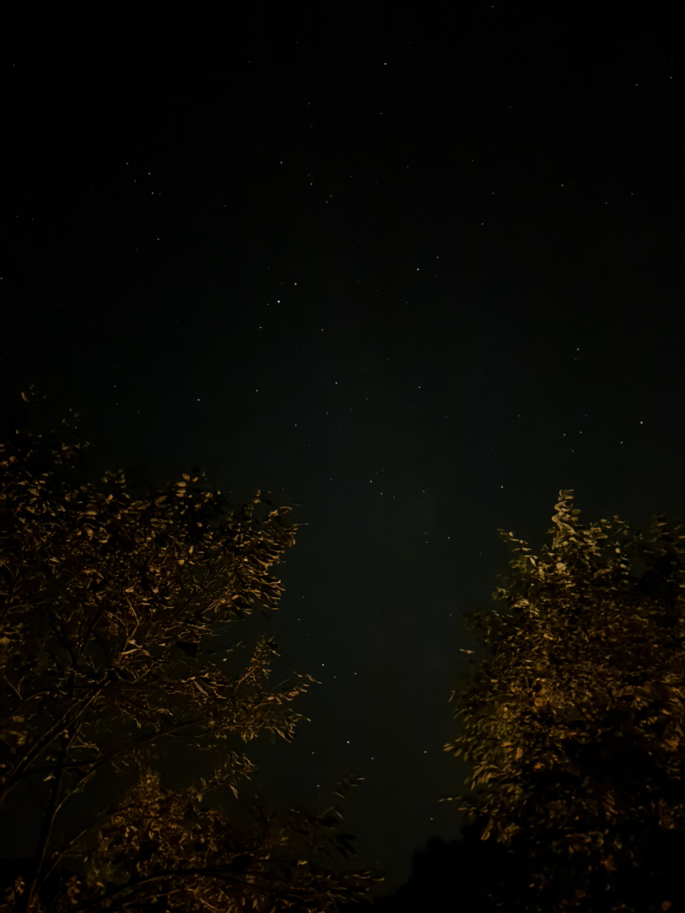 가고픈흙집 이미지