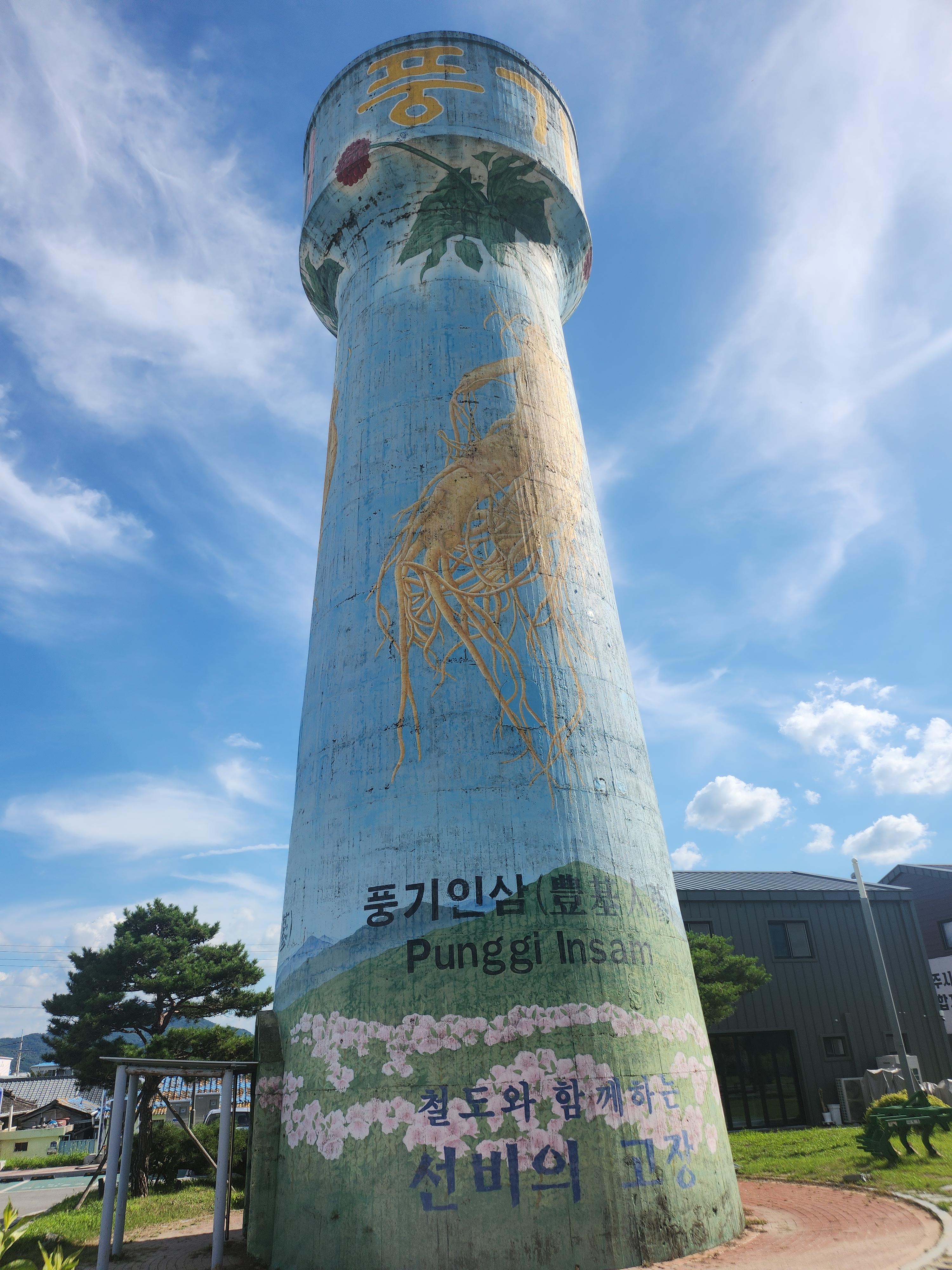 풍기인삼시장 이미지