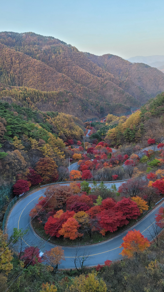 여기,돈까스 이미지