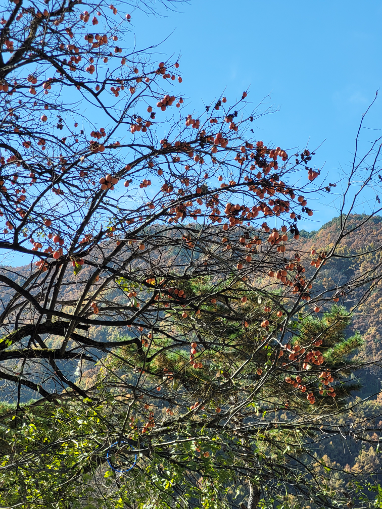 가마골쉼터 이미지