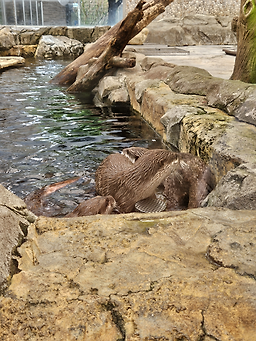 다누리아쿠아리움 이미지