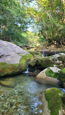 학현힐링펜션 이미지