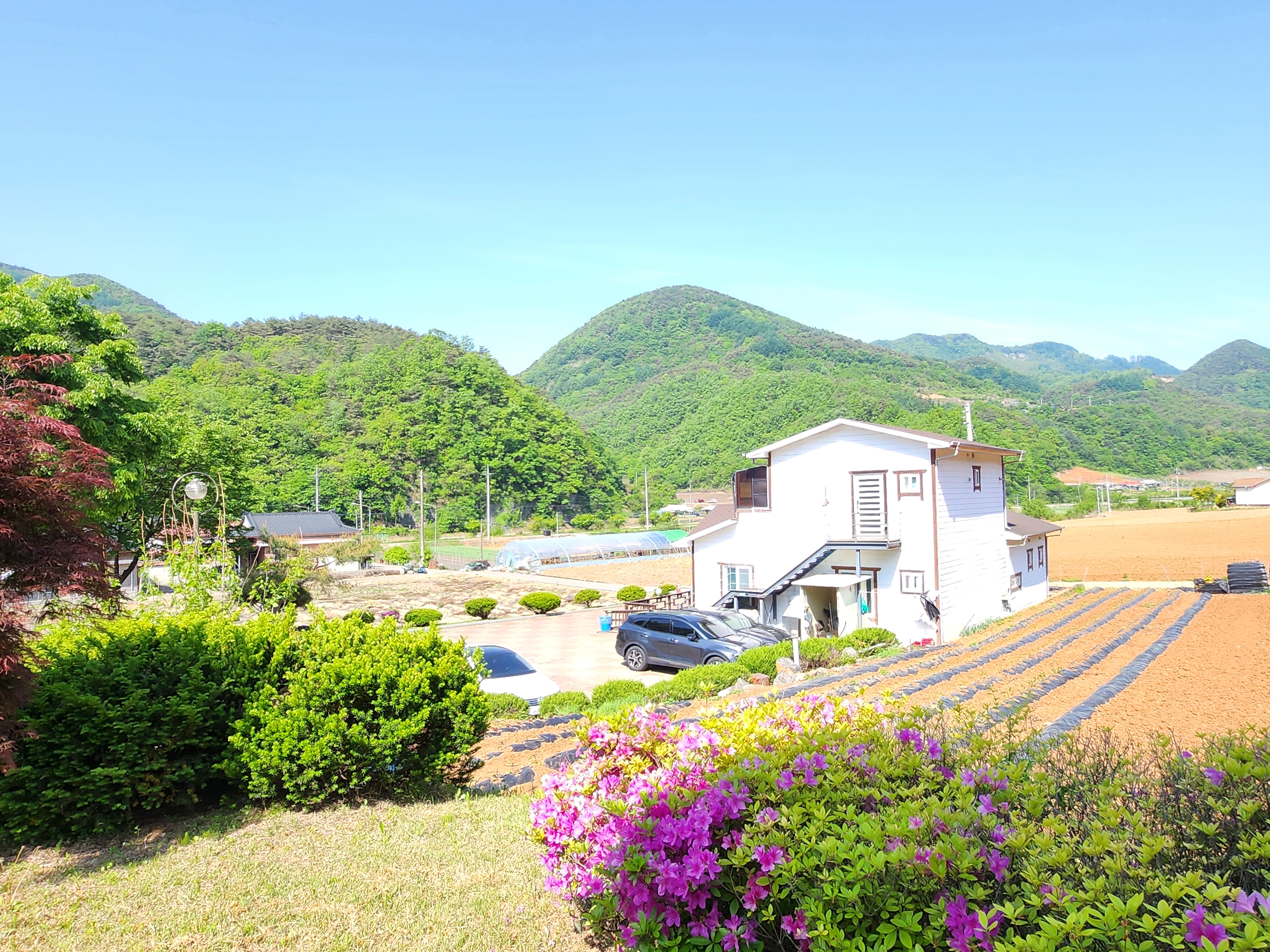 네덜란드풍차마을펜션 이미지