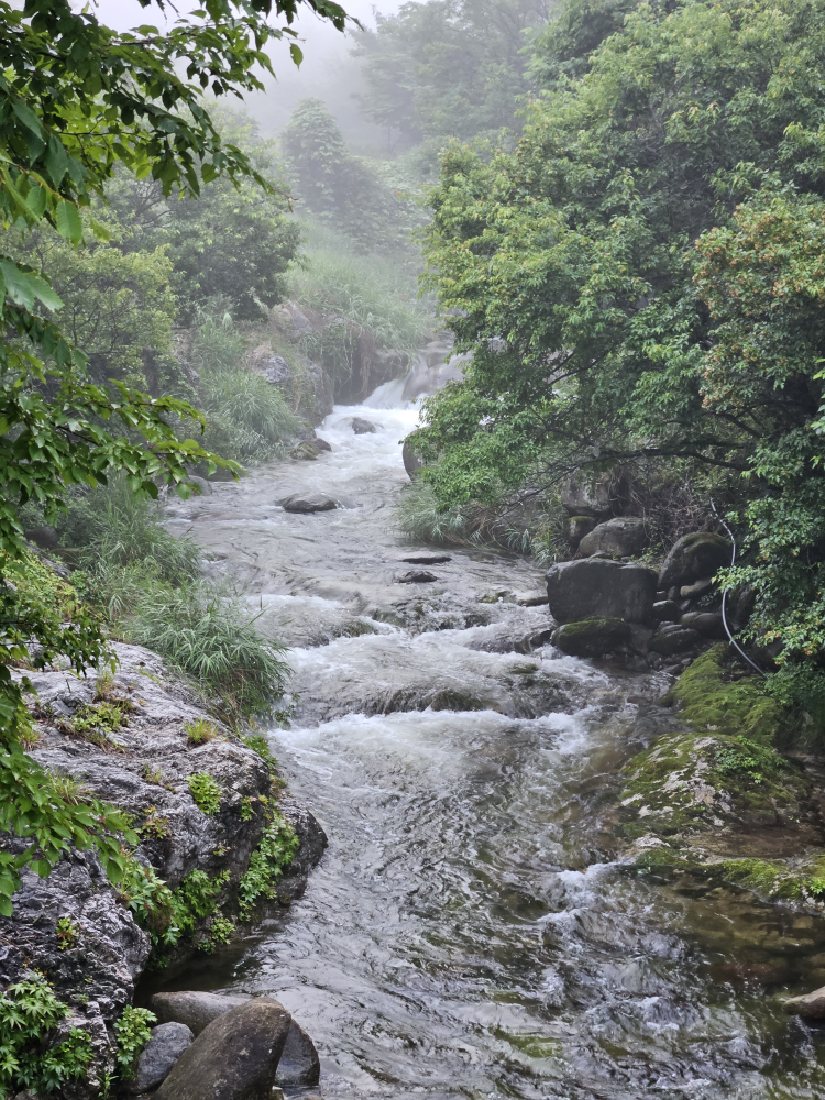 단양부엉이펜션 이미지