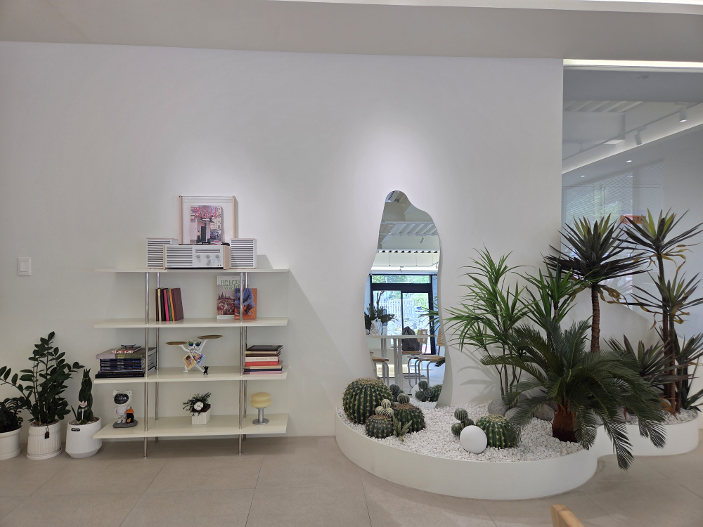 오아시스 이미지