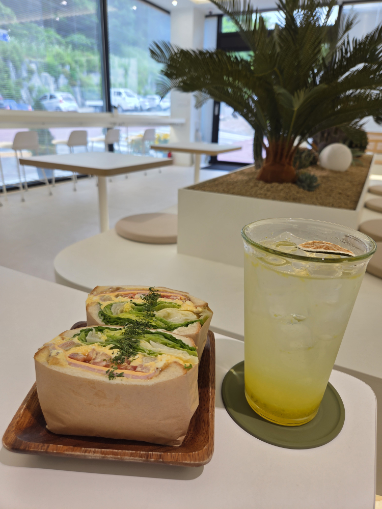 오아시스 이미지