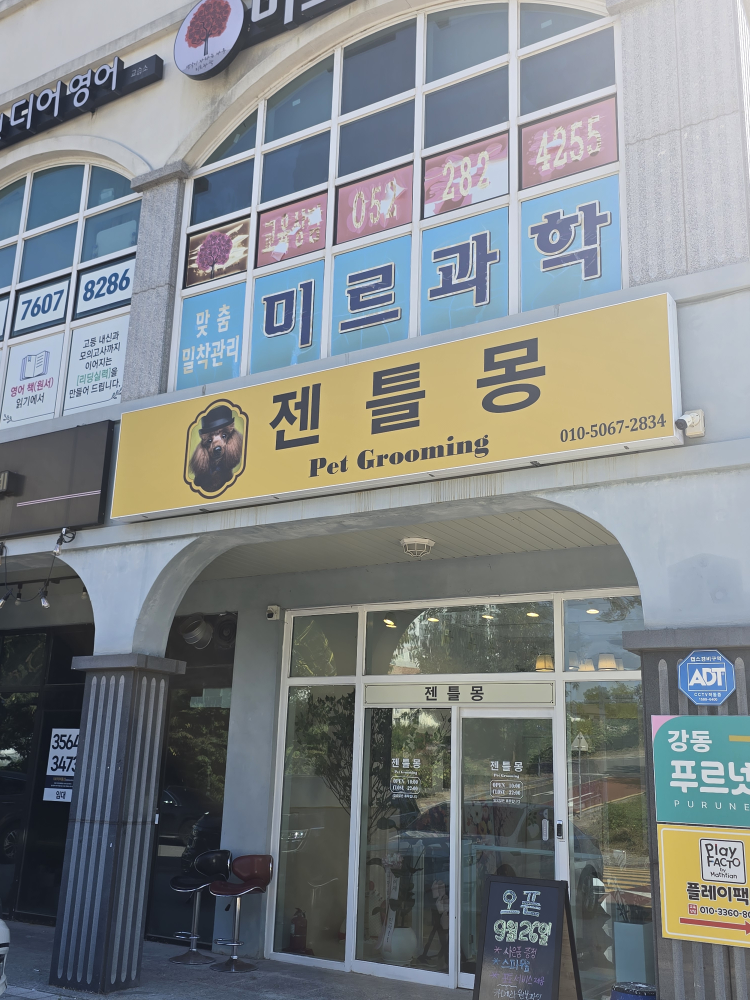 젠틀몽