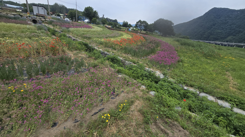 도담정원 이미지