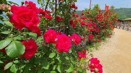 온달테마공원 이미지