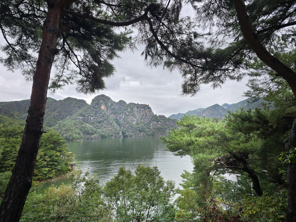 장회나루휴게소 이미지