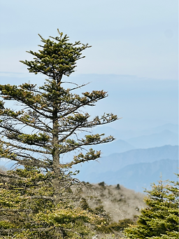 소백산국립공원 이미지