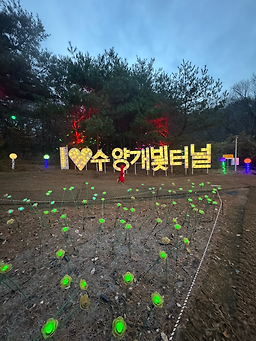 수양개빛터널 이미지