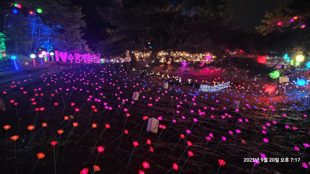 수양개빛터널 이미지