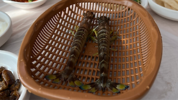 리뷰 이미지 3