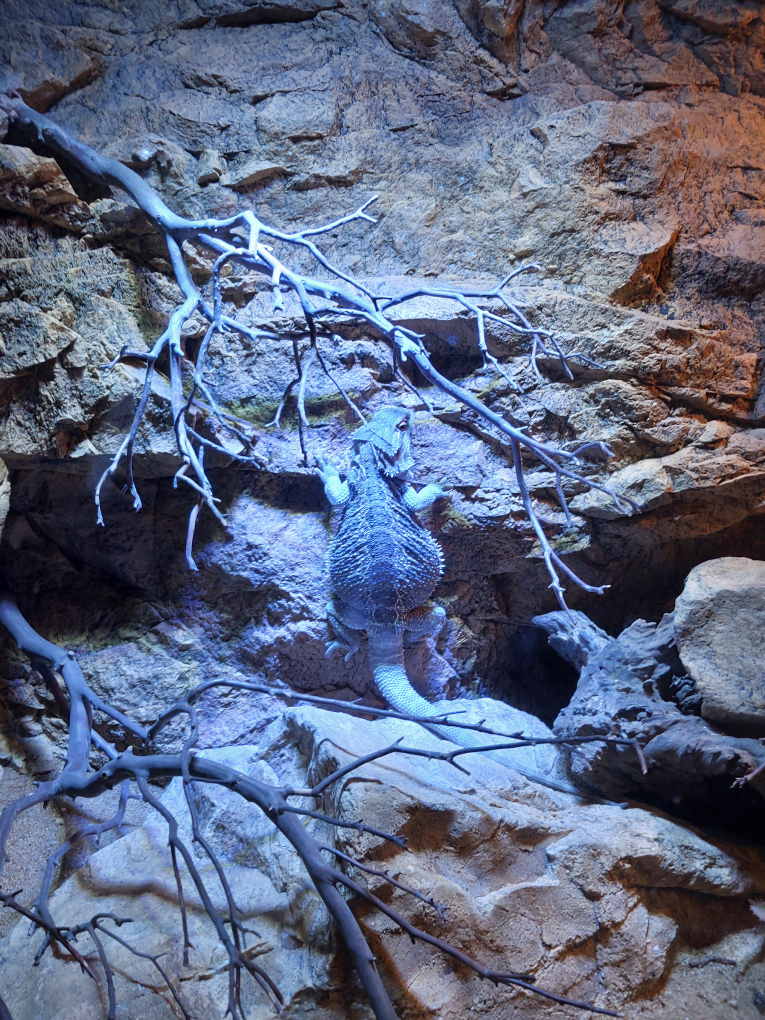 다누리아쿠아리움 이미지