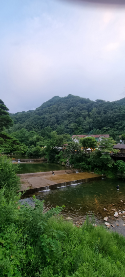 솔밭공원식당캠핑장 이미지