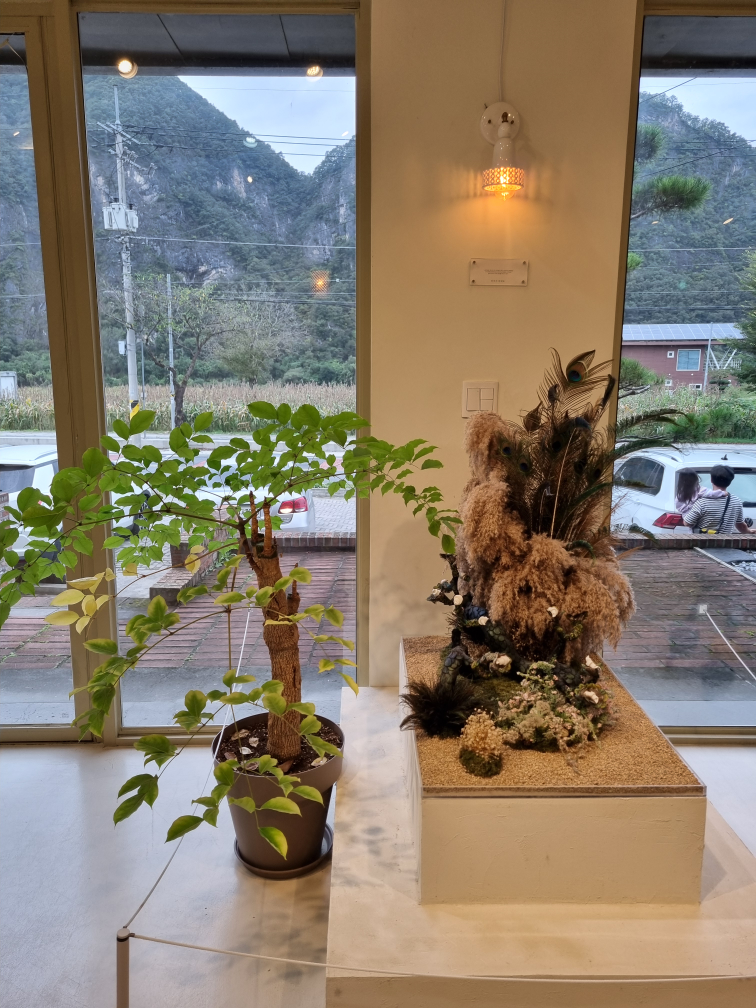 이끼베이커리 이미지