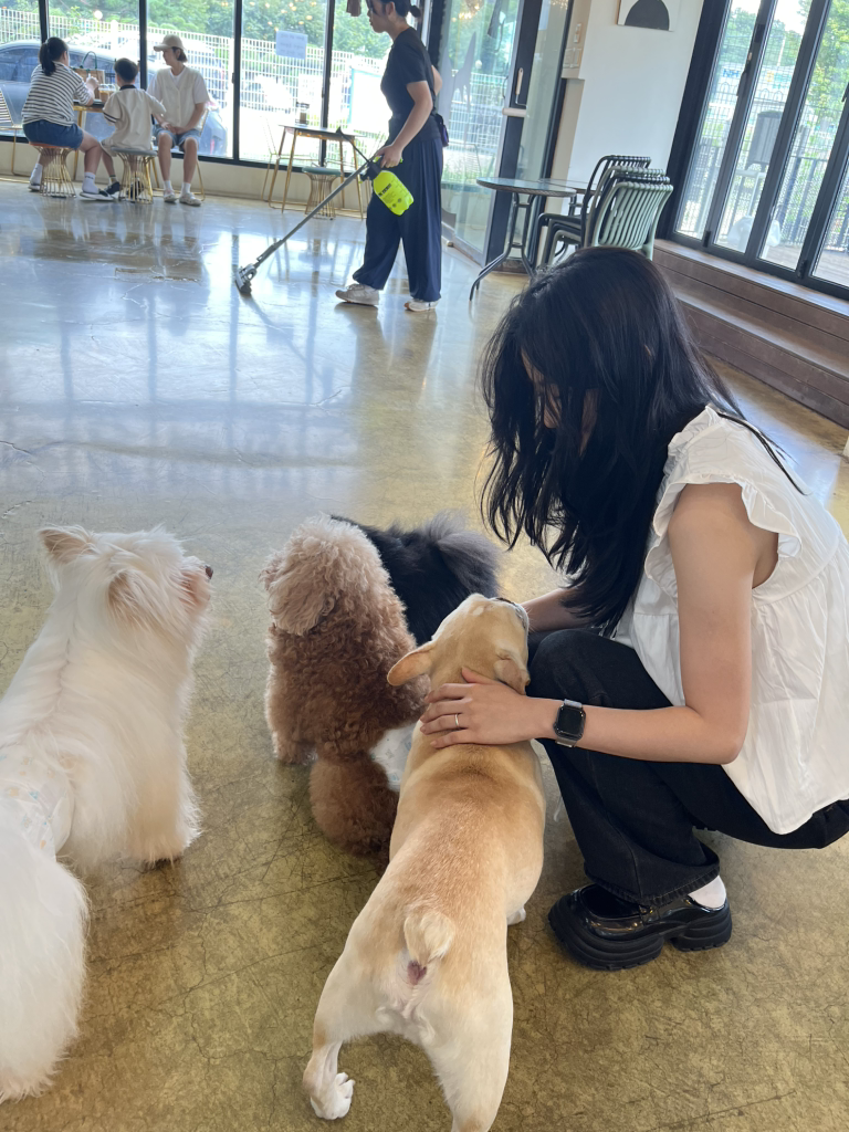 애견카페왕