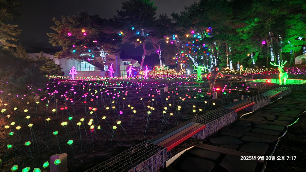 수양개빛터널 이미지