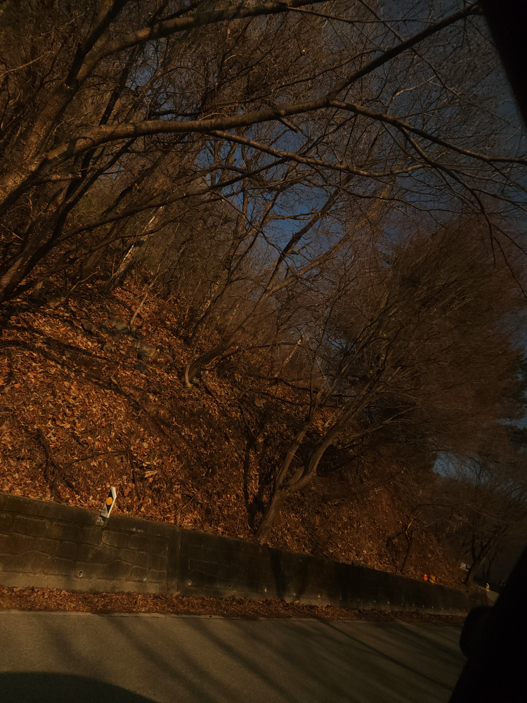 카우보이그릴 이미지