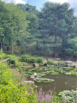 클럽이에스제천리조트 로맨틱가든