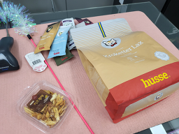 야옹아 멍멍해봐